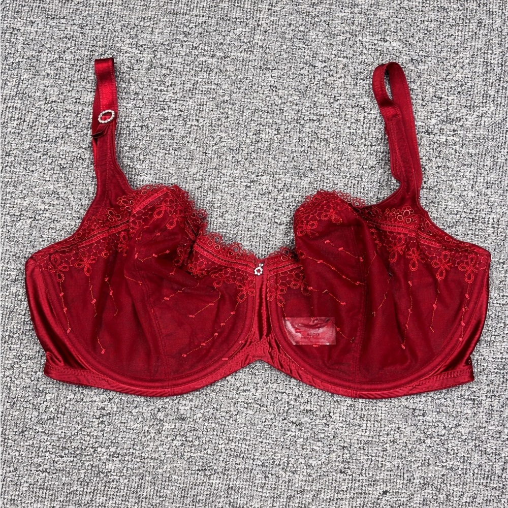 Whimsy Embroidered Red Underwire Bra 40DD‎ Lace Sheer Supportive Bundle